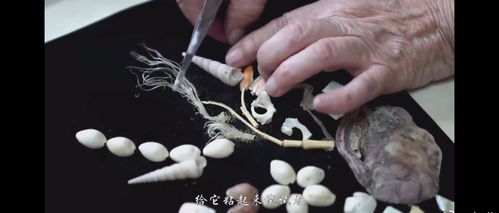 鱼骨、鳍、蟹脚、厨余垃圾制作而成 变废为宝 她用鱼骨等创作工(奶奶用鱼骨蟹脚作画)