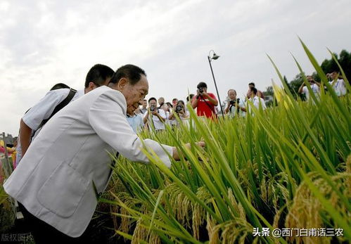 袁隆平:刷新纪录,我很高兴!
