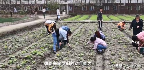 四川大学金城学院学生来到学校农场(四川大学体育学院)