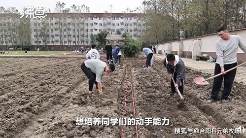 四川大学金城学院学生来到学校农场(四川大学金城学院是公办还是民办院校)