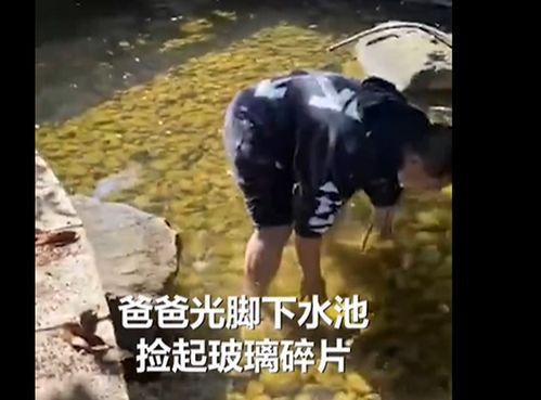 言传身教!爸爸赤脚下水捞宝宝扔的玻璃渣:想让他学会承受(言传身教 你爸爸百)