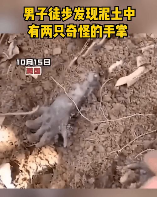 男子在徒步旅行时发现土壤中有两只手掌
