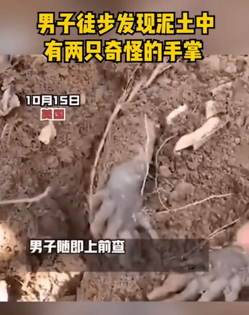 男子在施工现场发现手掌疑似尸体,把视频发到网上,他笑了!(施工现场发朋友圈)