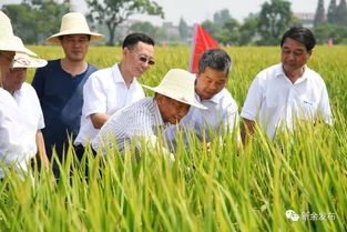 杂交水稻之父袁隆平提出两个高产小目标(杂交水稻之父袁隆平)