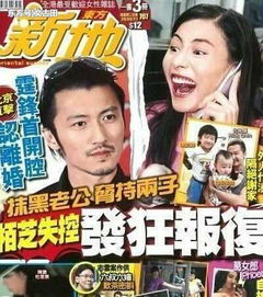 谢霆锋为啥不演戏了 新浪娱乐讯(谢霆锋为什么不演戏)