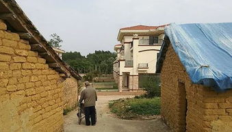 绿鬣蜥被列入濒危野生动物种国际贸易公约(绿鬣蜥濒危吗)