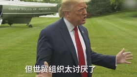世贸组织将推迟原定于9日举行总理事会特别会议