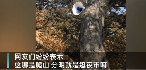 辽宁省鞍山市千山风景区的一家企业挂在树上为游客加油(辽宁省鞍山市千山区大屯镇)