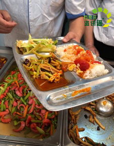 武汉东湖学院第二食堂品尝轩窗口厨房肮脏场景(武汉东湖学院第二次党代会)