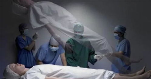 科学家用实验计算灵魂的重量 一个人死后是否有灵魂 女科学家和猩猩的实验