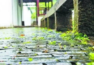 梅雨季节是什么时候? 梅雨季节是什么时间江苏
