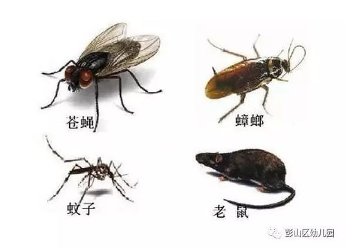 日常生活中最常见的四种动物 日常生活中最常见的触电方式是