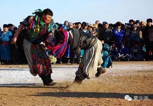 那达慕大会是哪个民族的节日? 那达慕大会有什么活动