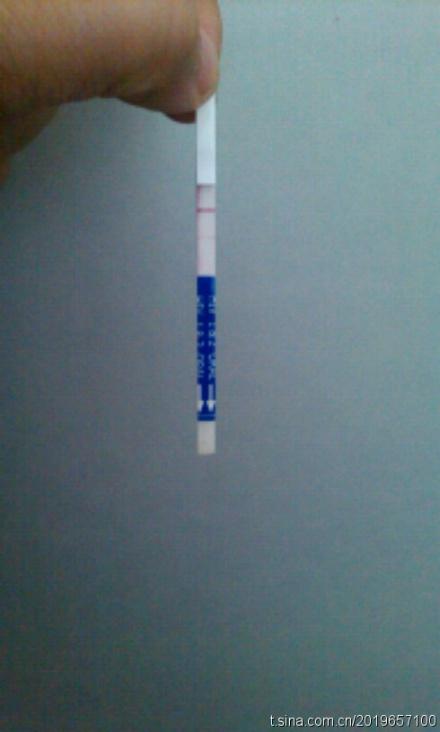 一招判断艾滋病 hiv测试纸自检