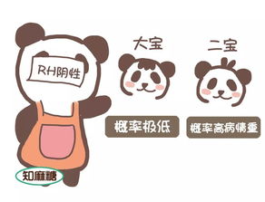 为什么o型血叫熊猫血? o型血为什么叫O型血
