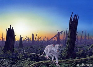 第五次生物灭绝的主要物种是什么? 五次生物灭绝事件