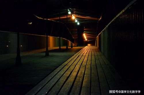 子夜是什么时候呢? 子夜鸮什么时候第一次
