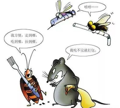 为什么麻雀以前有四种伤害? 为什么麻雀养不活?