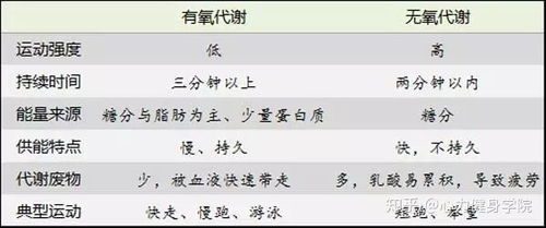 谁适合有氧运动 以下几点很重要