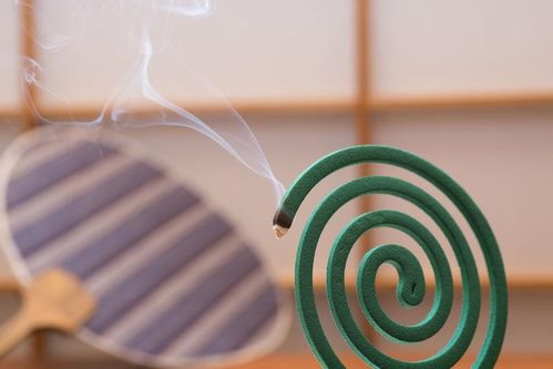 睡觉防蚊最简单的方法是什么?