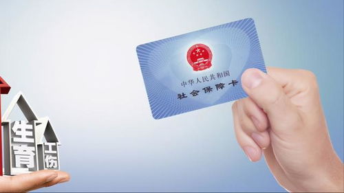 自费社保损失太大的原因