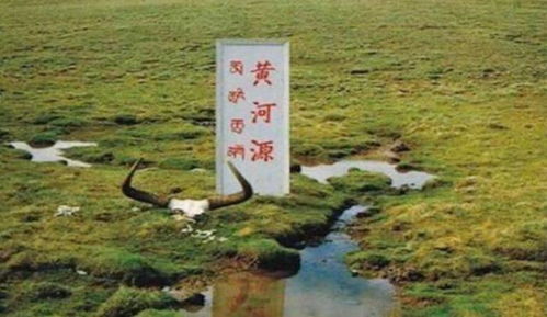黄河的来源在哪里? 古黄河服务区在哪里啊