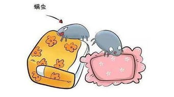 去除床上螨虫的最快方法 床上螨虫怎么去除最有效