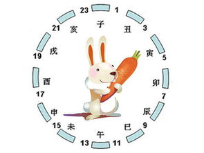 毛时间是什么时候 它属于什么生肖 毛呢什么时候穿?