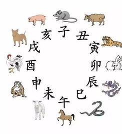 古人把时间分成十二个不同的时间 把时间分成十份