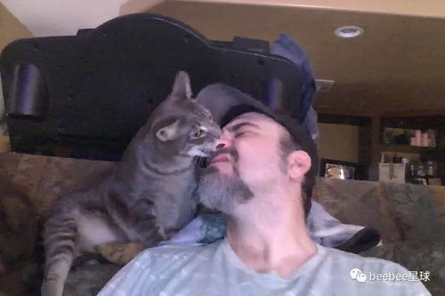 被猫咬伤后不要打狂犬病疫苗