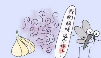 睡觉防蚊四种方法,一碗糖水可以很快完成