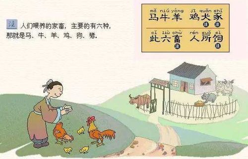 所谓的六畜是指所有的家禽,其中六种主要动物是马、牛、羊、狗和