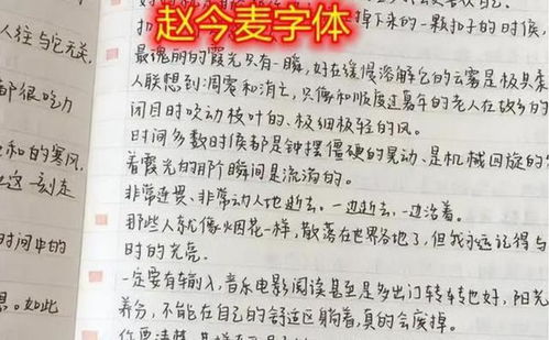 奶酪字体高考禁止?没有被禁止,写得好也会加分(奶酪字体影响中考和高考吗)