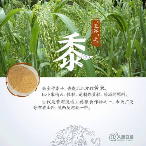 谷物是哪种谷物?(与精致谷物相比)