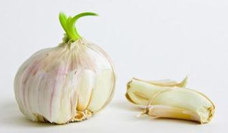 【豌豆发芽后还能吃吗_山药】(豌豆发芽了还能吃吗图片)