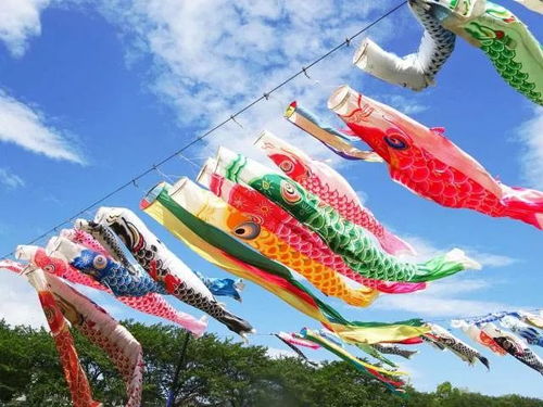 日本为什么要挂鲤鱼旗?(日本为什么要挂鲤鱼旗)