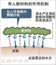 手帐是谁发明的,手帐的真谛(念念手帐是谁发明的)