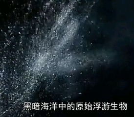 真实的地球照片太吓人了 当人类第一次(真实地球照片太吓人视频)