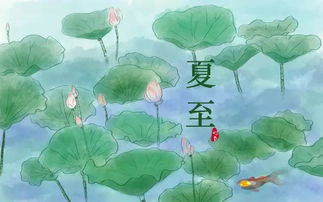 夏至是什么意思鹿角解、蝉鸣、半夏生(夏至是什么意思代表什么)