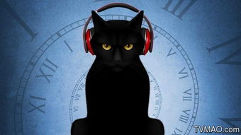 薛定谔的猫是什么意思?(薛定谔的猫是什么时候学的)