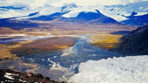 长江黄河是中国的两条主要河流,你知道它们的发源地在哪里吗?(长江黄河是中国的命脉)