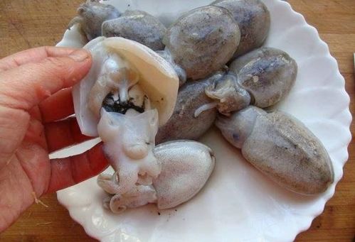 吃乌贼的墨水必须煮熟,不能吃生乌贼墨水