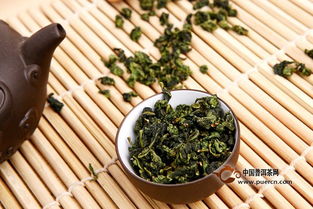 铁观音属于什么茶?是绿茶还是红茶?(铁观音属于什么茶 功效是什么)