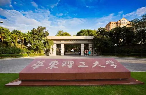 华东理工大学是985还是211学校?(上海华东理工大学官网)