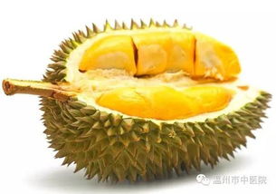 榴莲不能和什么一起吃_健康频道(榴莲不熟怎么办打开了怎么办)