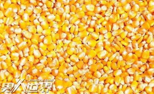 玉米男孩的故事 十宗罪玉米男孩故事简介
