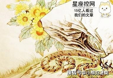 1977年蛇人43岁今年,让小化妆给你答案 1977年蛇人2022年运程