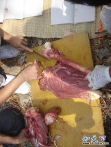 泰国食人宴真的真的吗? 泰国食人宴是什么鬼