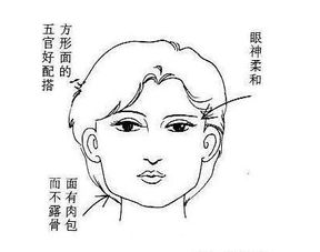 女人非常昂贵的脸和体相 极贵的面相 脸圆,额头饱满