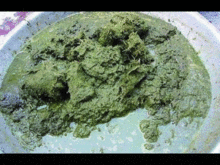 牛粪火锅真的是牛粪做的吗? 牛瘪火锅是牛粪吗
